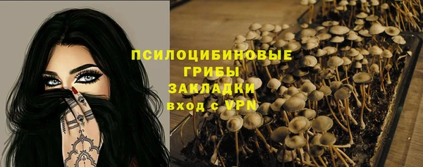 амф Алексеевка