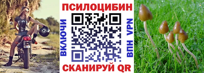 Галлюциногенные грибы мицелий  что такое наркотик  Нытва 